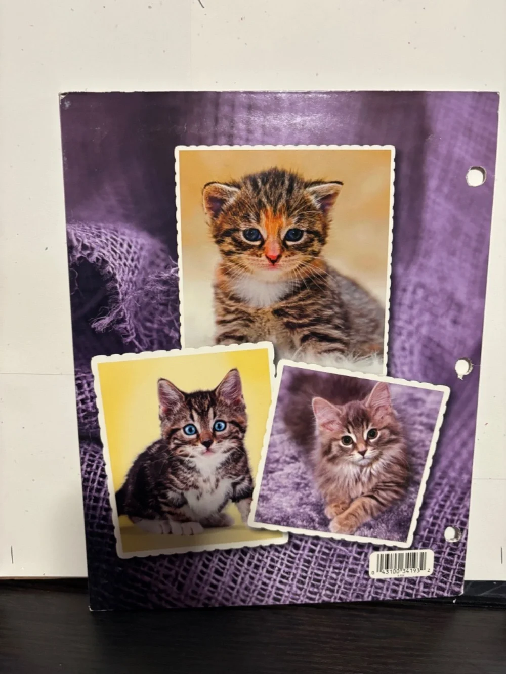 Cat/ Kitten Folder Bundle